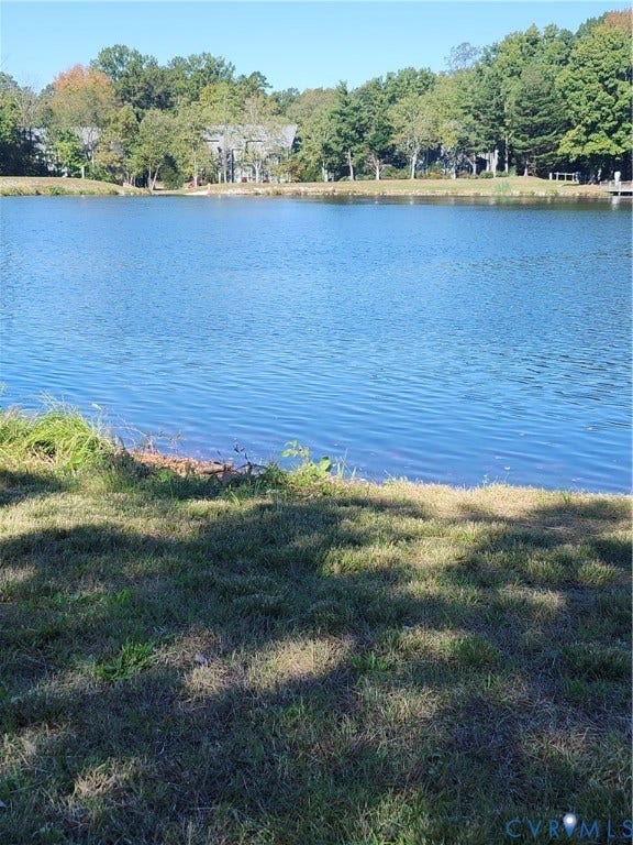 12400 New Point Drive, Wilde Lake, Henrico, VA 23233 Waterfront property featuring a private shoreline, grassy lawn, and mature trees