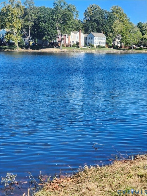 12400 New Point Drive, Wilde Lake, Henrico, VA 23233 Waterfront property featuring natural shoreline, mature tree canopy, and established riparian landscape
