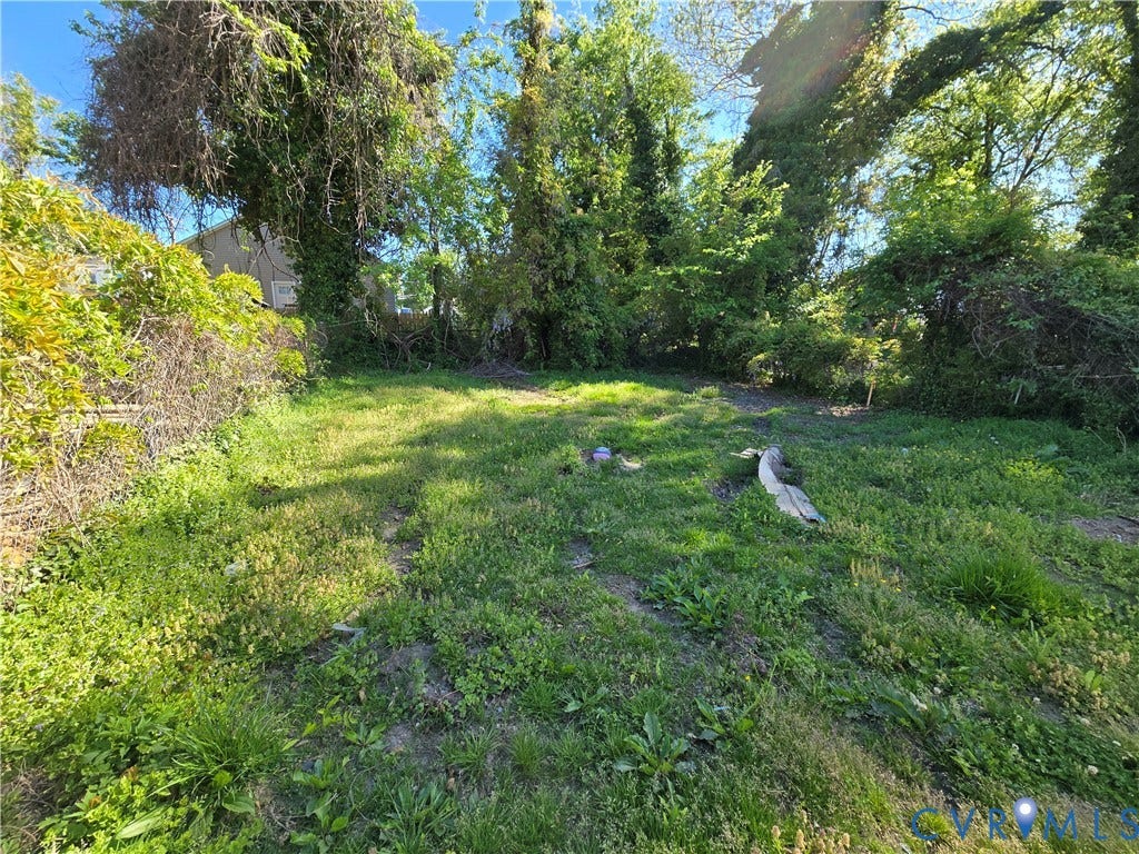 320 Shore Street, Petersburg, VA 23803 Expansive lot featuring mature trees and established perimeter foliage