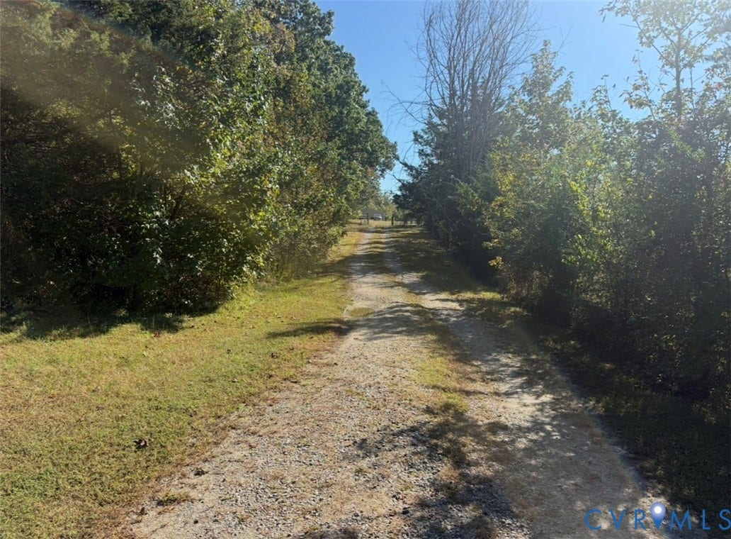 26691 Bell Road, Amelia, VA 23002 Gravel path flanked by mature trees and grass terrain