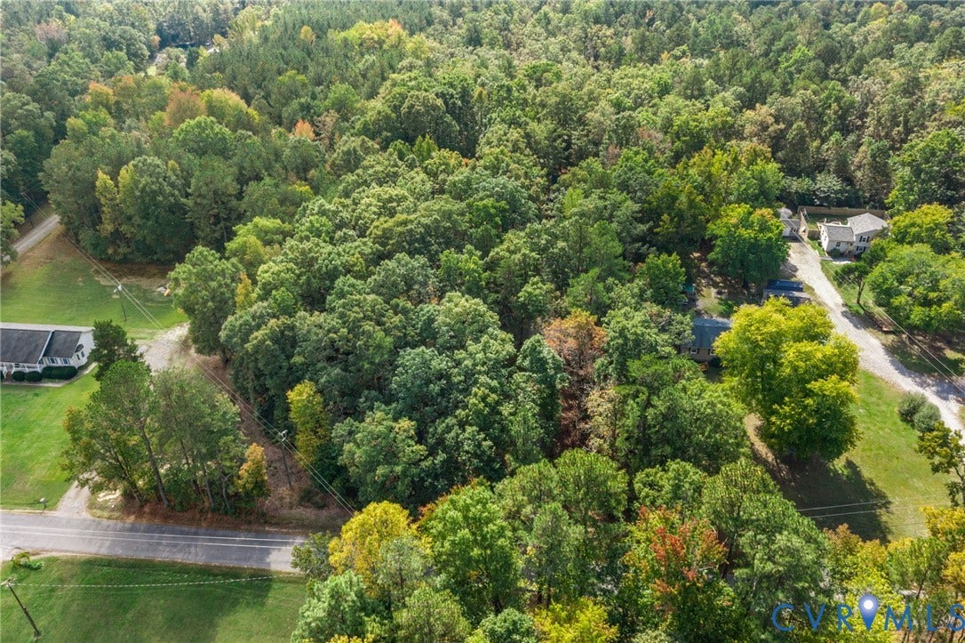 17030 Courtney Road, Reedy Church District, Hanover, VA 23069 Expansive wooded parcel featuring mature trees and paved road frontage
