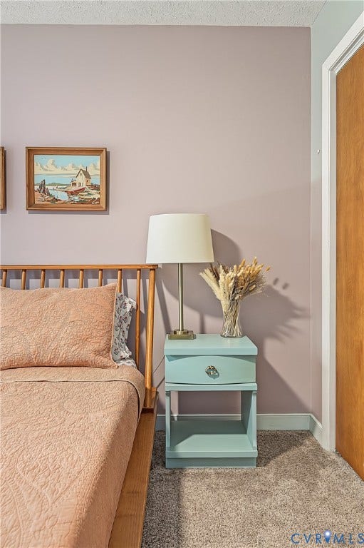 3800 Pheasant Hollow Drive, Henrico, VA 23231 Neutral-toned wall paint, wall-to-wall carpeting, and a wood-finished door
