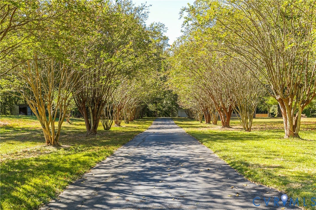 3800 Pheasant Hollow Drive, Henrico, VA 23231 Paved driveway lined with mature canopy trees and manicured grounds