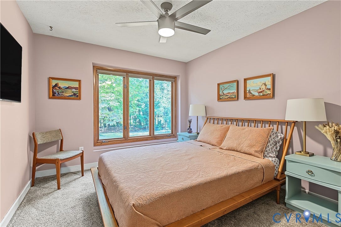 3800 Pheasant Hollow Drive, Henrico, VA 23231 Multi-pane picture window with natural wood framing, integrated brushed nickel ceiling fan with central lighting, and neutral carpeting