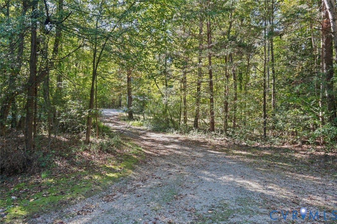 15227 Horseshoe Bridge Road, Hanover, VA 23047 Gravel drive winding through a wooded landscape with mature deciduous and evergreen trees