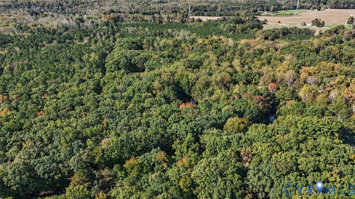 15227 Horseshoe Bridge Road, Hanover, VA 23047 Extensive acreage featuring dense, mature tree coverage and rolling topography
