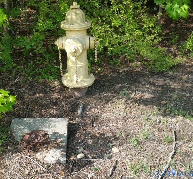 84-87 N Moton Street, Washington Park, Emporia, VA 23847 Water at street