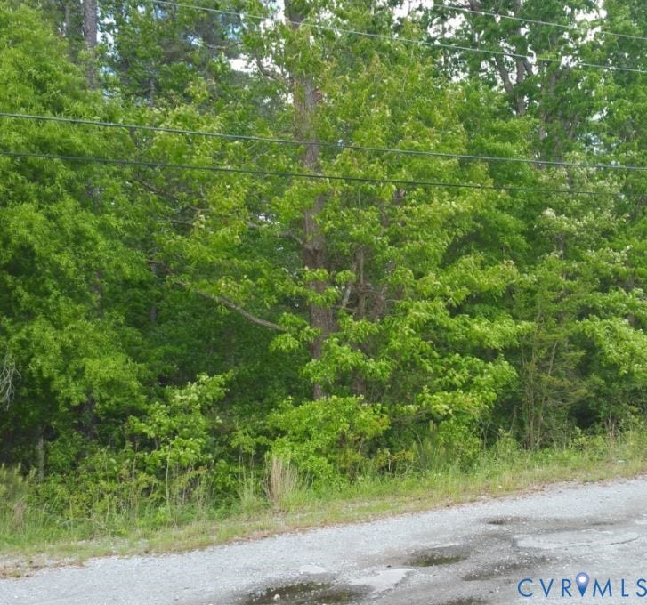 84-87 N Moton Street, Washington Park, Emporia, VA 23847 Wooded lot featuring mature hardwood trees and native vegetation