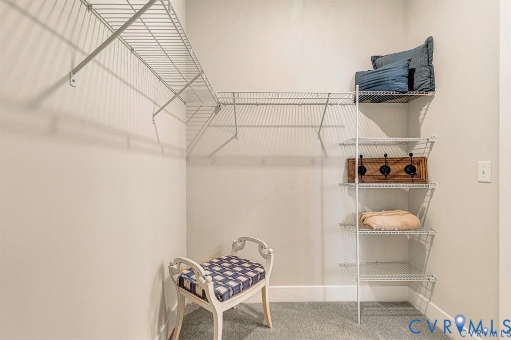 10525 Stony Bluff Drive, #107, Stony Run Condos, Ashland, VA 23005 Storage area featuring white wire shelving, vertical hanging rack organization, and neutral carpeting