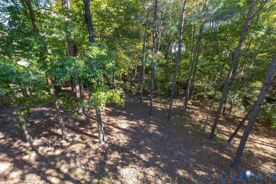 4011 Echo Ridge Place, Midlothian, VA 23112 Expansive outdoor space featuring mature hardwood and pine trees with natural ground cover