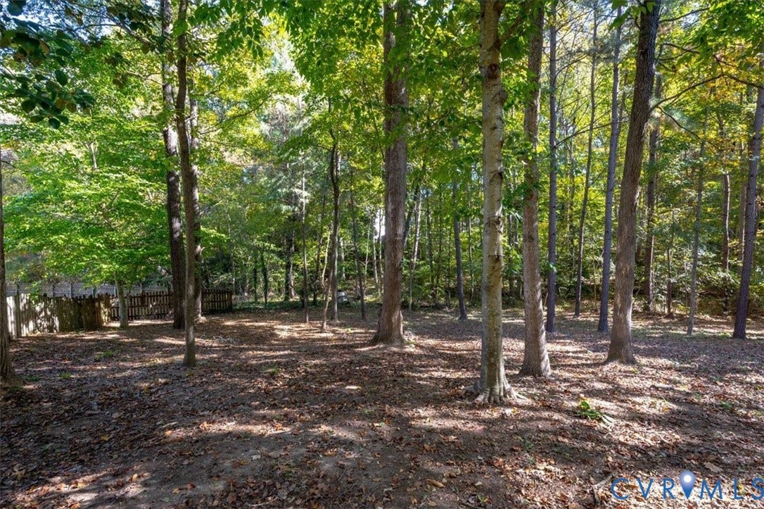 4011 Echo Ridge Place, Midlothian, VA 23112 Expansive outdoor space featuring mature hardwood and pine trees with natural ground cover