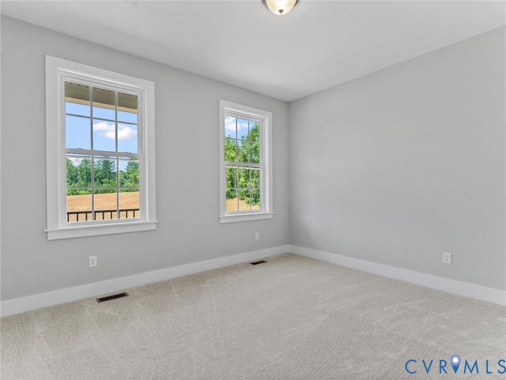 5951 Pot Rock Lane, Pot Rock Ln, Jetersville, VA 23083 Neutral interior room featuring plush wall-to-wall carpeting, dual double-hung windows with colonial grilles, and a ceiling-mounted light fixture