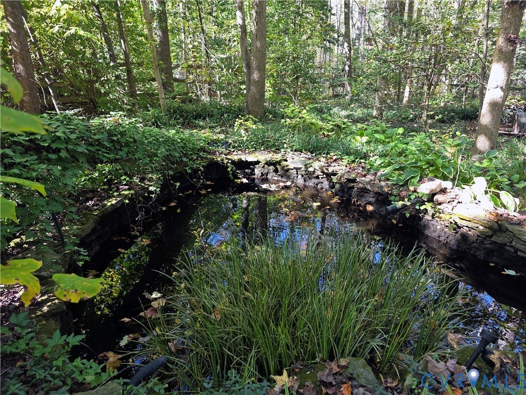 3350 North Road, Sandy Hook, VA 23153 Natural stone-bordered pond set within a wooded landscape with established foliage