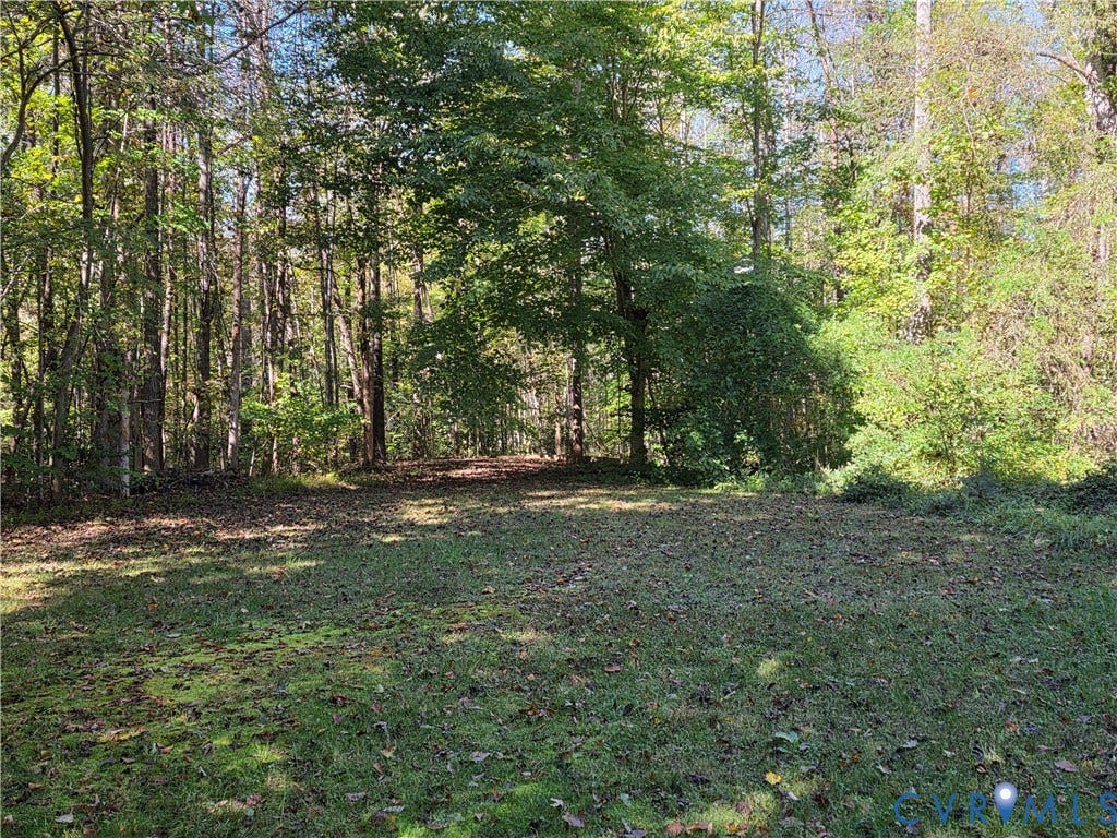 3350 North Road, Sandy Hook, VA 23153 View from Front Porch