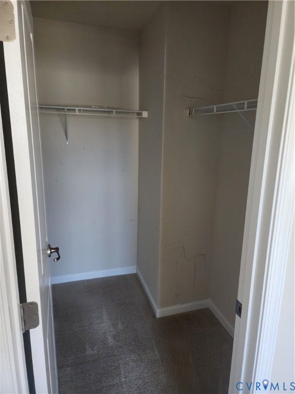 9031 Annex Lane, Mechanicsville, VA 23116 Storage space featuring wall-to-wall carpeting and installed wire shelving