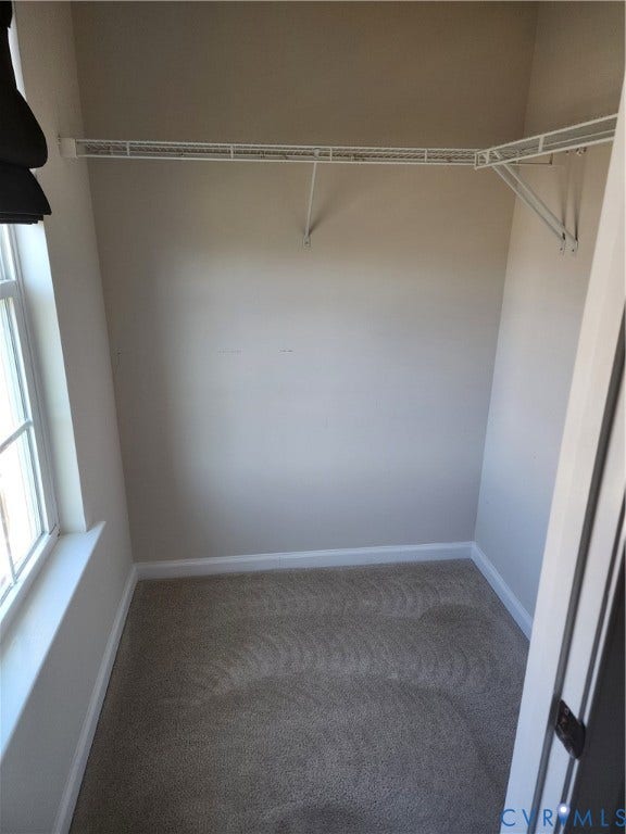 9031 Annex Lane, Mechanicsville, VA 23116 Reach-in storage space featuring neutral carpeting, a single-tier wire shelving system, and a window with natural lighting