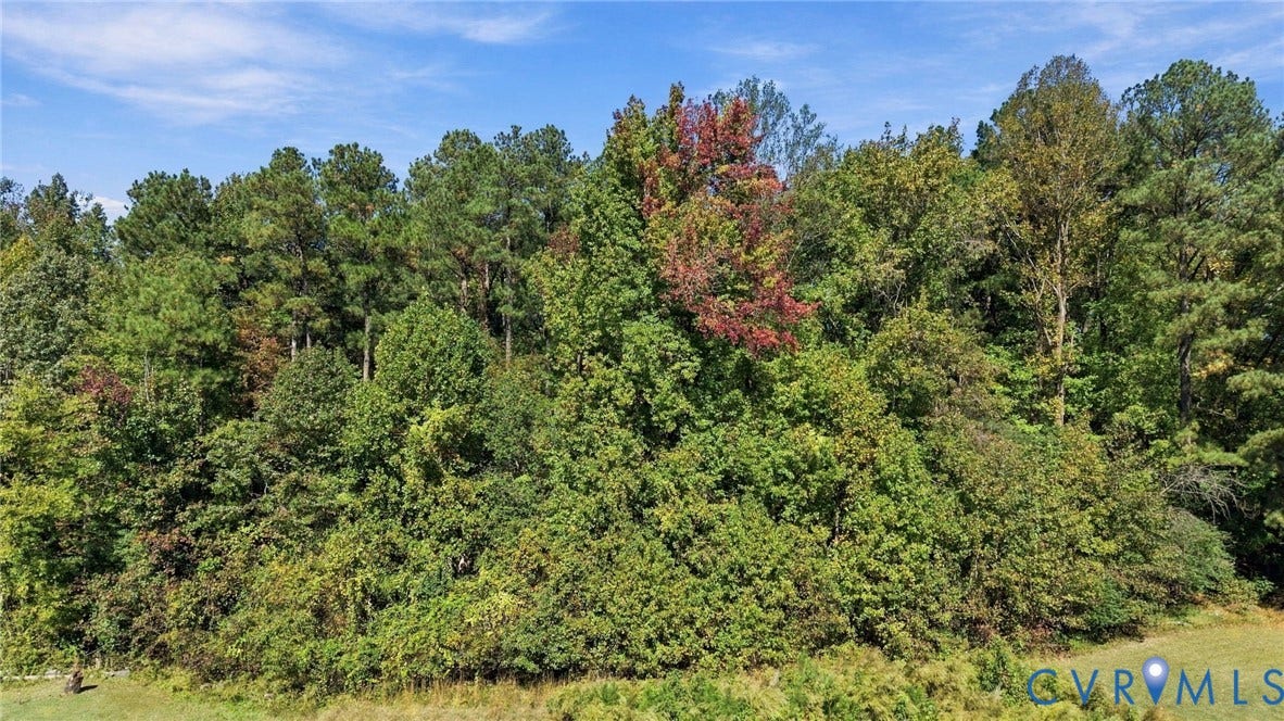 Expansive wooded acreage featuring a dense tree canopy, diverse deciduous and coniferous foliage, and open grass terrain