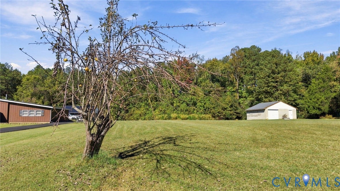 Expansive grassy lot featuring a detached garage, mature tree, and asphalt driveway