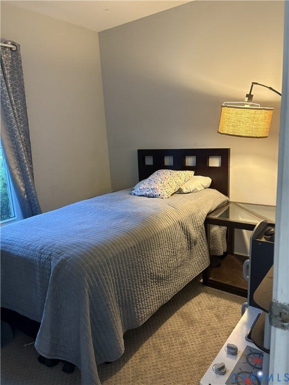 3207 Roland View Terrace, Chester, VA 23831 Neutral-toned walls with wall-to-wall carpeted flooring and an attached swing-arm wall light fixture