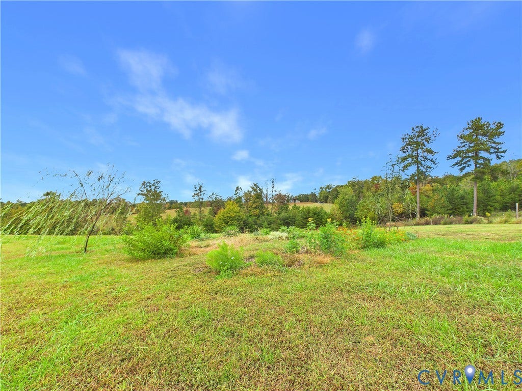 290 Western Lane, Appomattox, Appomattox, VA 24522 Expansive open acreage featuring rolling grass terrain, native vegetation, and mature tree lines