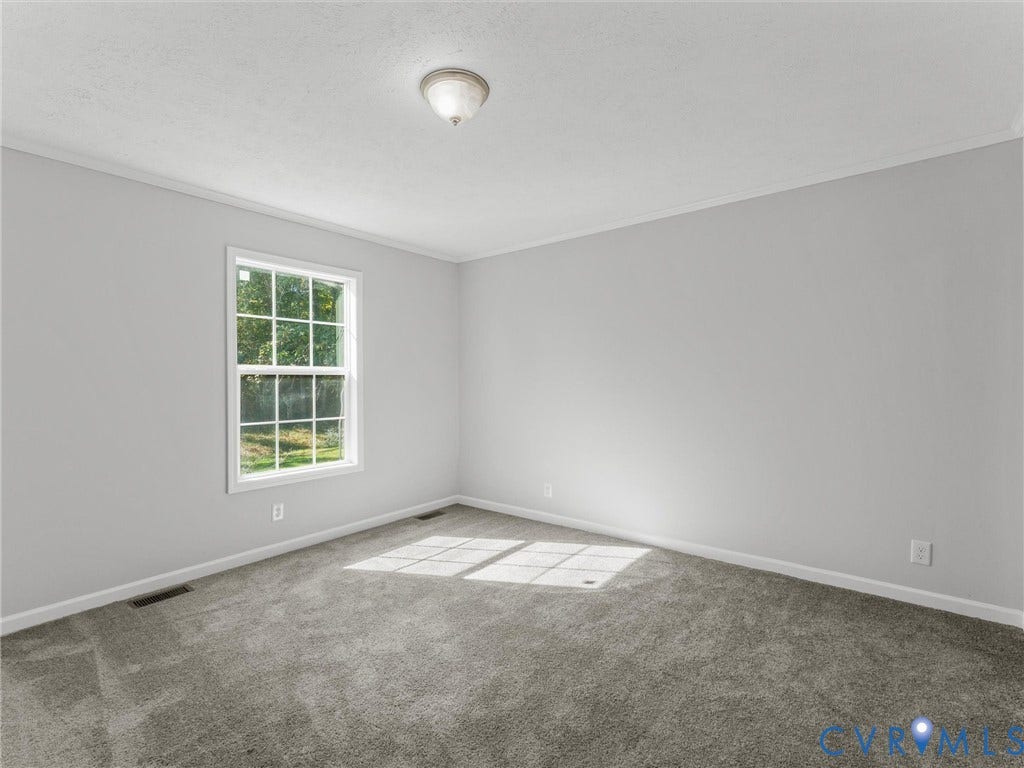 1625 Cedar Lane, Powhatan, VA 23139 Neutral-toned interior space featuring neutral wall-to-wall carpeting, crisp off-white wall finishes, a single-hung window with a grid pattern, and a flush-mount ceiling light fixture
