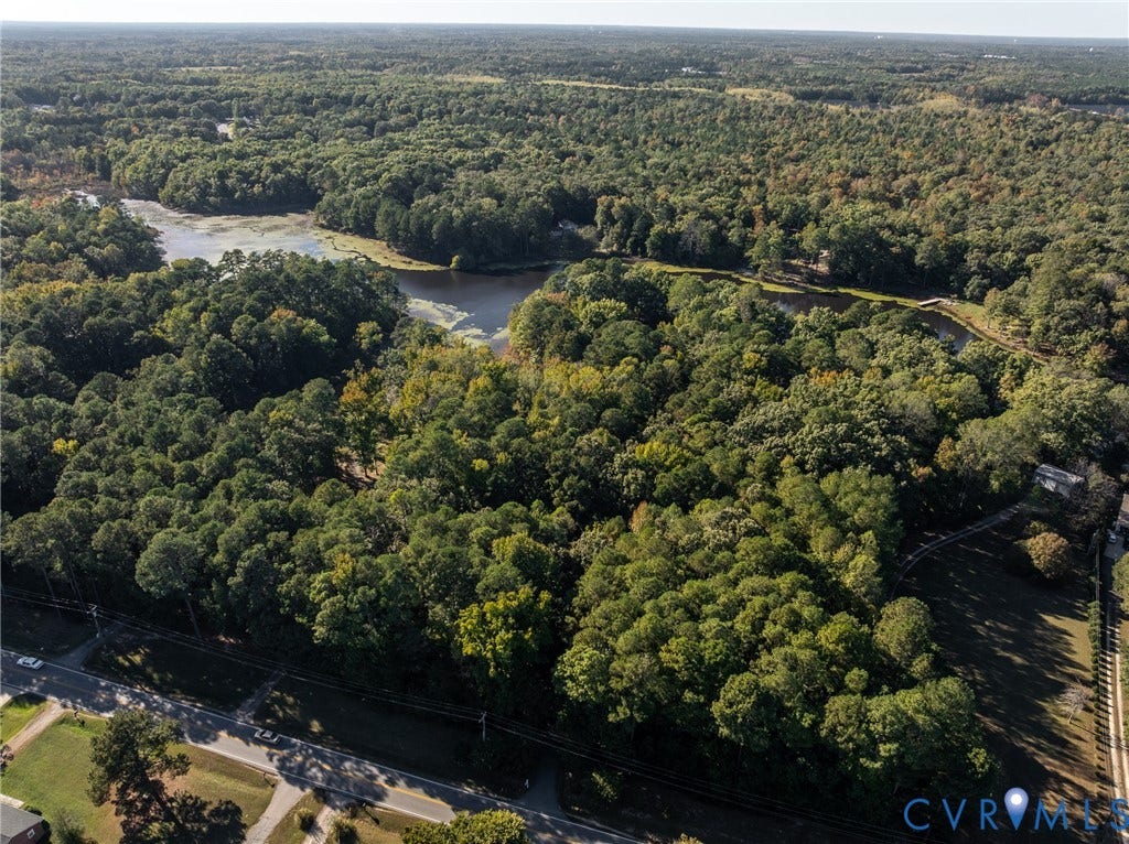 10862 Walton Lake Road, Dick Woods Subdivision, Disputanta, VA 23842 Aerial perspective of a heavily wooded lot featuring significant acreage, mature forest canopy, and direct frontage on a natural pond