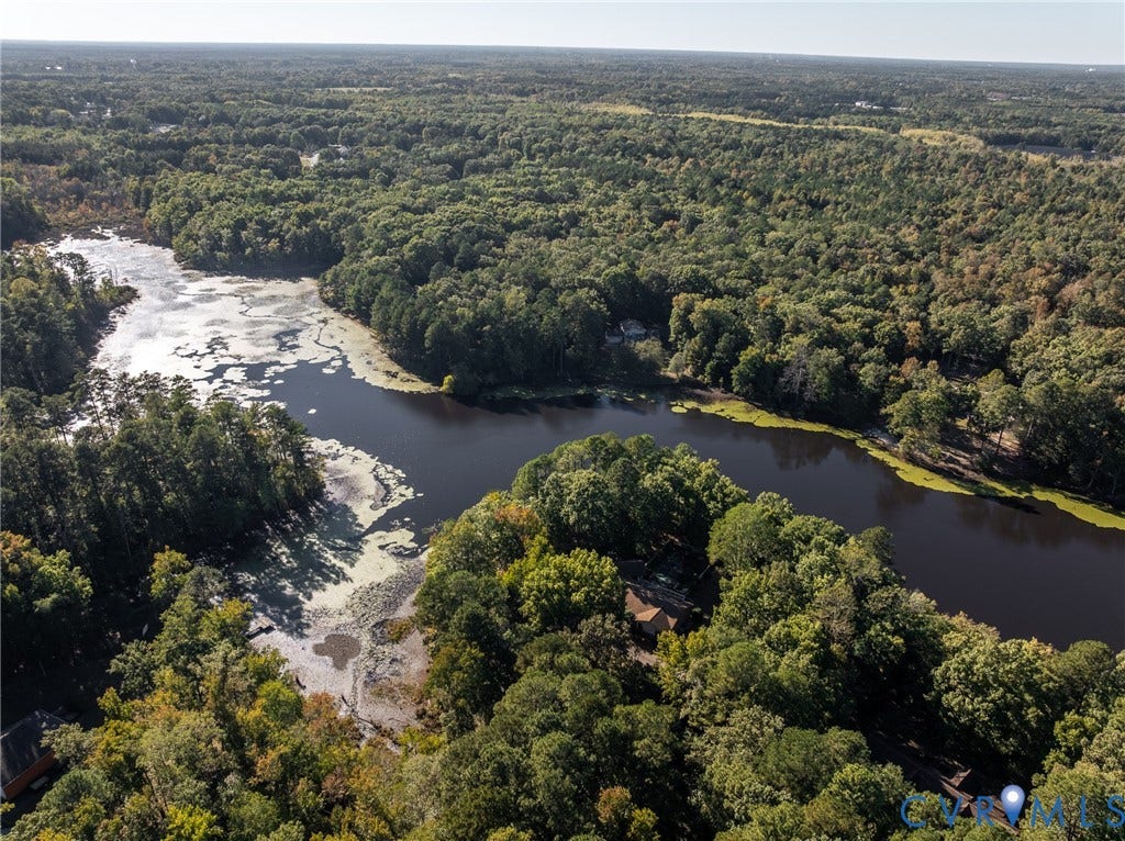 10862 Walton Lake Road, Dick Woods Subdivision, Disputanta, VA 23842 Aerial perspective of a sprawling wooded lot featuring direct waterfront access and dense mature timber