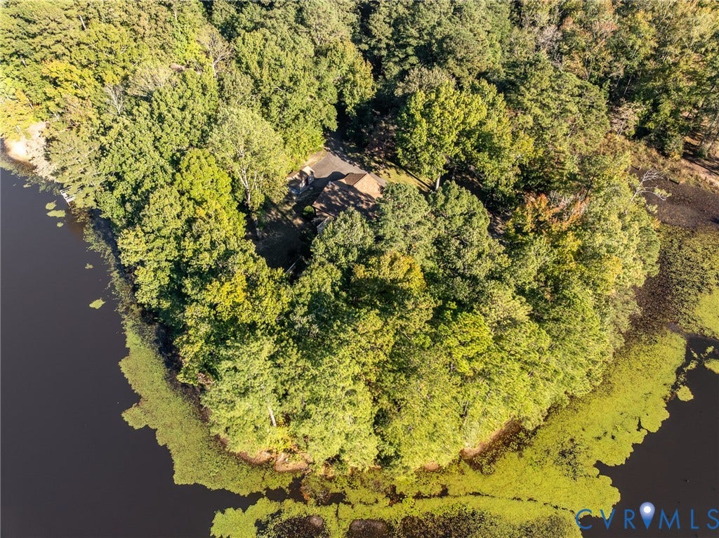 10862 Walton Lake Road, Dick Woods Subdivision, Disputanta, VA 23842 Aerial perspective of a waterfront property featuring a wooded landscape, mature trees, and a paved driveway