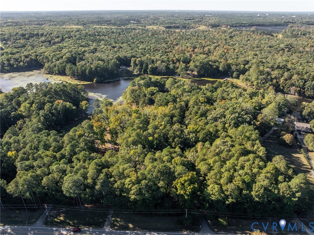 10862 Walton Lake Road, Dick Woods Subdivision, Disputanta, VA 23842 Expansive wooded lot featuring mature trees, natural terrain, and direct water frontage