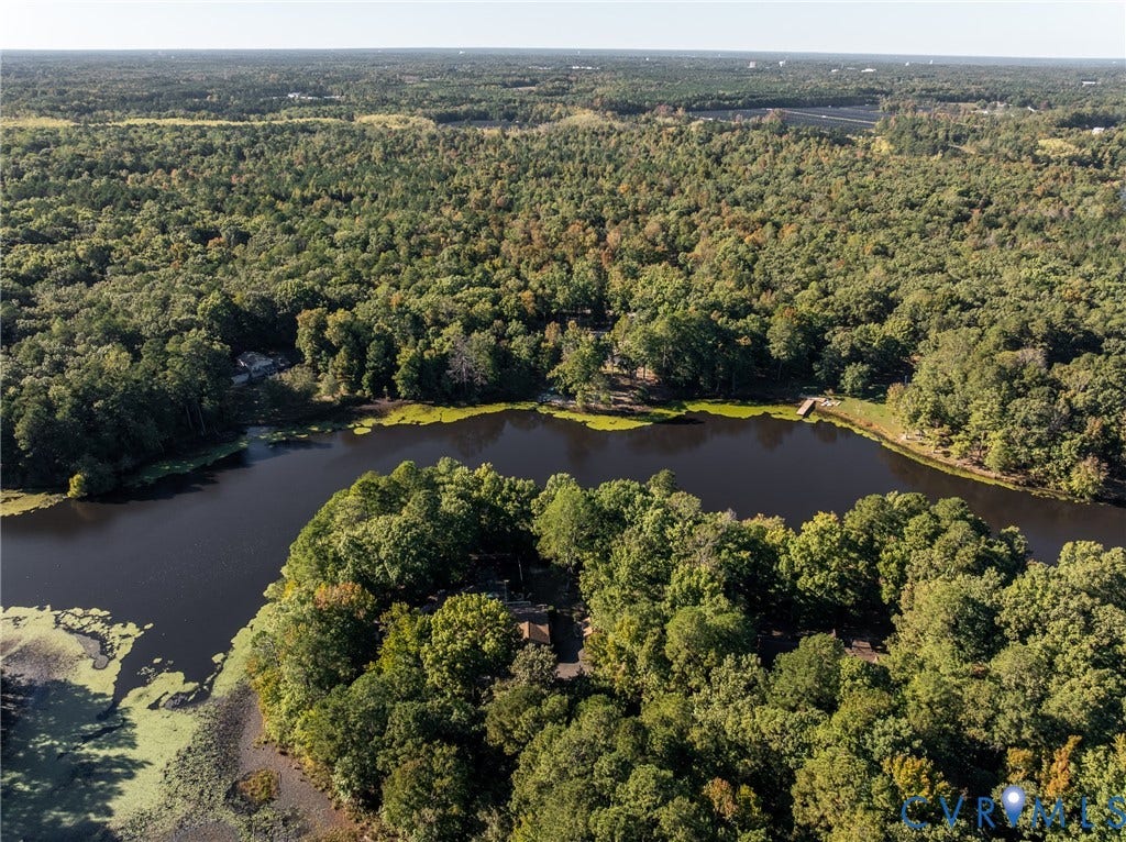 10862 Walton Lake Road, Dick Woods Subdivision, Disputanta, VA 23842 Aerial perspective of a waterfront property featuring dense mature trees and a private wooden dock