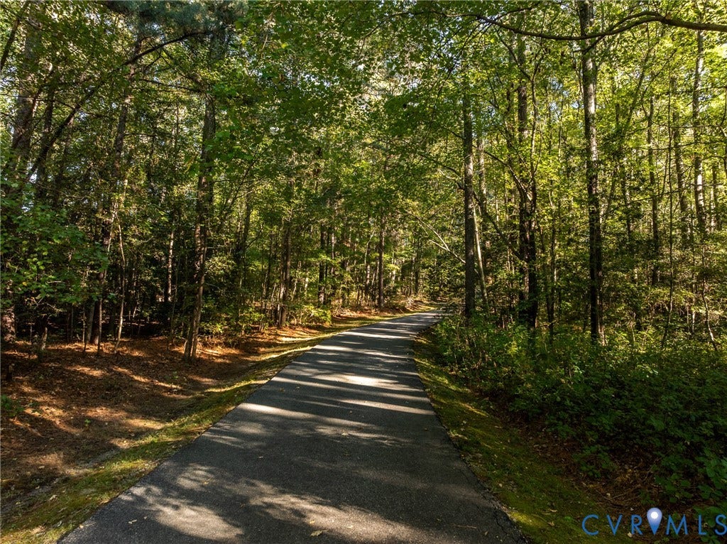 10862 Walton Lake Road, Dick Woods Subdivision, Disputanta, VA 23842 Asphalt paved path bordered by mature trees and natural woodland landscape