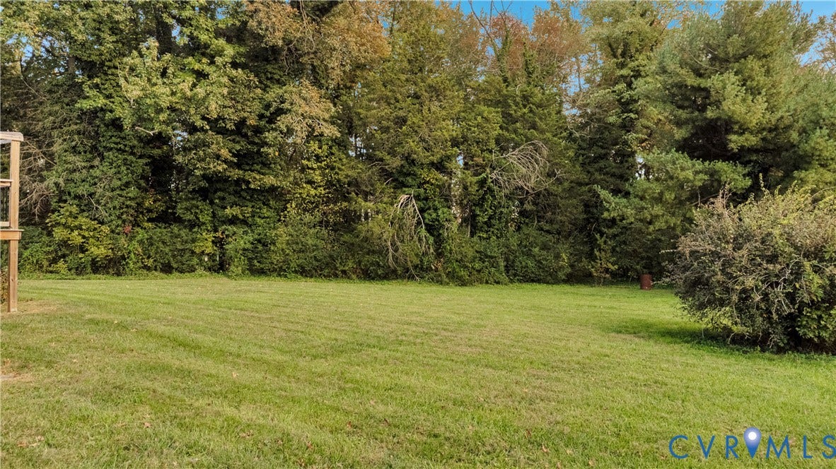 Expansive backyard featuring a level grass lawn and a dense backdrop of mature trees