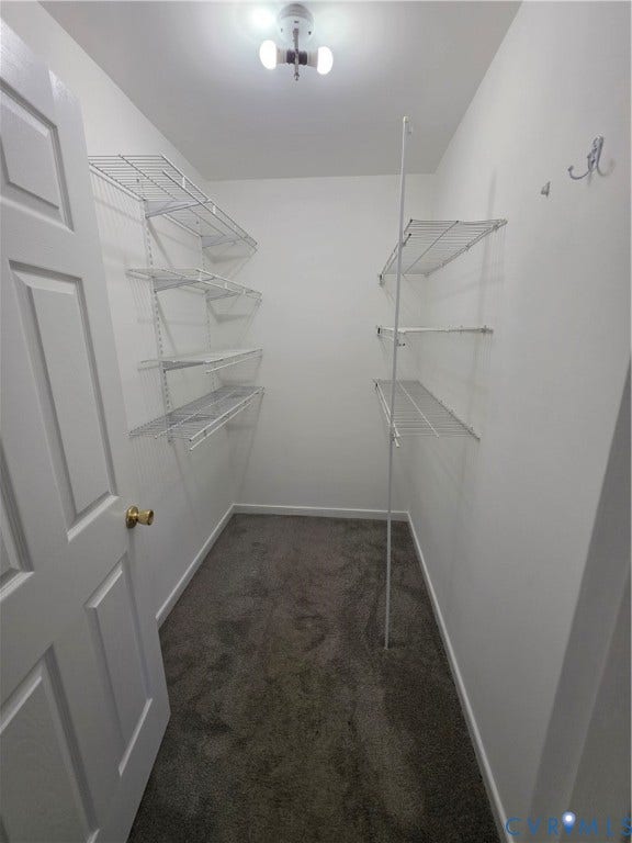2406 Trenton Street, Hopewell, VA 23860 Walk-in closet featuring wall-to-wall carpeting, dual-tier wire shelving, and a dual-bulb ceiling light fixture
