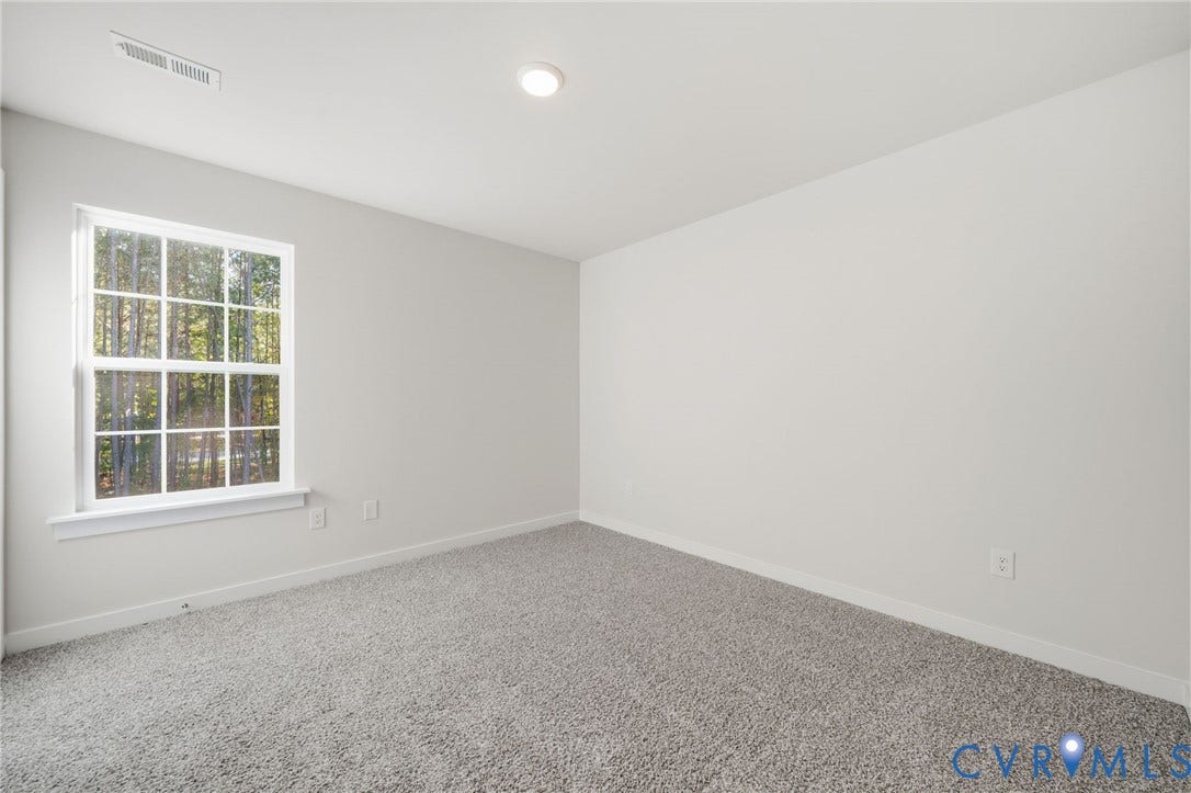 8209 Grantham Woods Way, Grantham Woods, Henrico, VA 23231 Neutral-toned interior featuring wall-to-wall carpeting, a multi-pane window, and a flush-mount ceiling light fixture