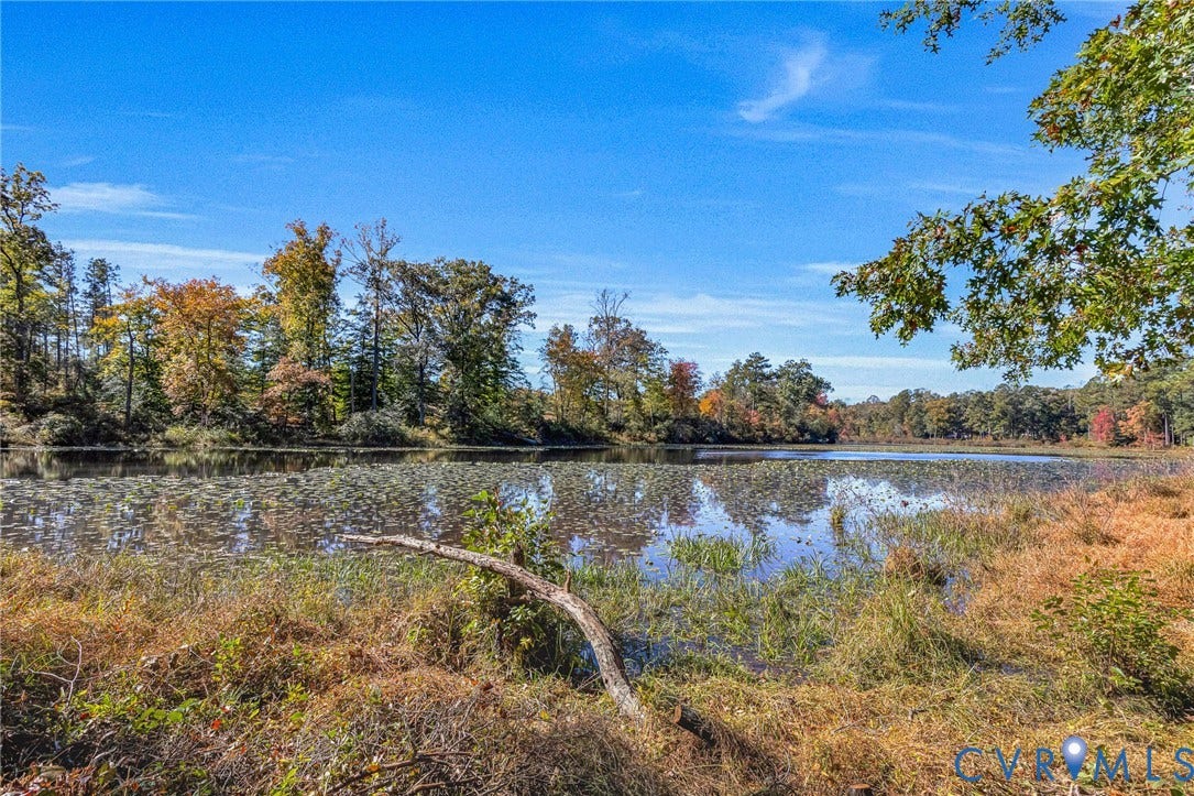 3820 Upshaw Road, Decker's Pond, Aylett, VA 23009 Waterfront property featuring a natural pond, native shoreline vegetation, and mature deciduous trees
