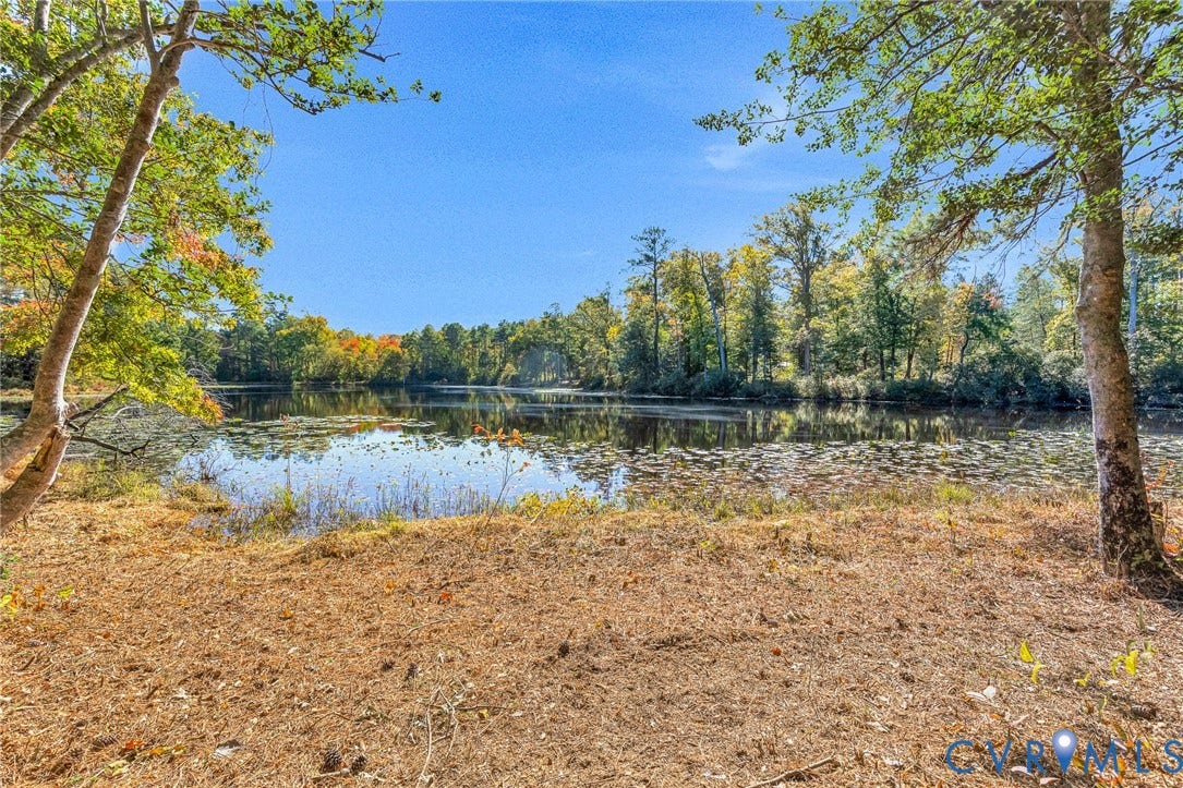 3820 Upshaw Road, Decker's Pond, Aylett, VA 23009 Waterfront lot featuring a natural pond, mature deciduous trees, and varied native vegetation