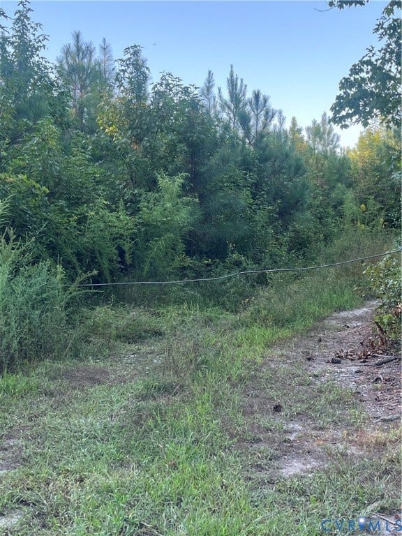 684 Verdon Road, Beaverdam, VA 23015 Expansive lot featuring mature native trees, dense wooded perimeter, and natural landscape