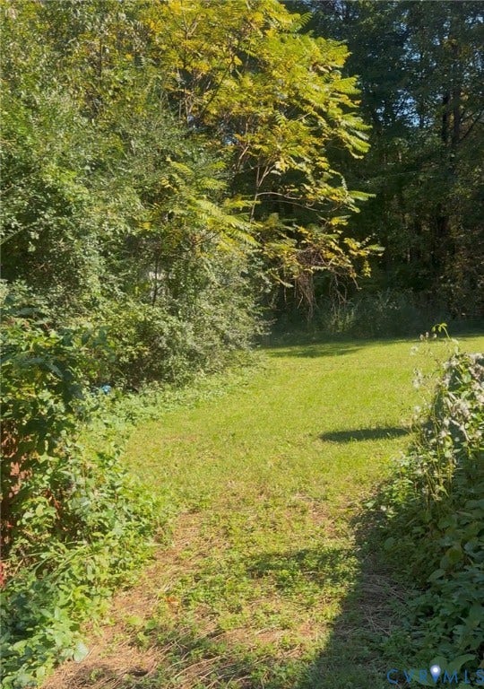 20367 Monrovia Road, Orange County, Orange, VA 22960 Expansive lot featuring mature trees and established perimeter vegetation