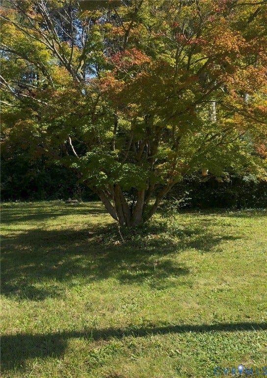 20367 Monrovia Road, Orange County, Orange, VA 22960 Expansive backyard featuring a mature, multi-trunk tree and open lawn space