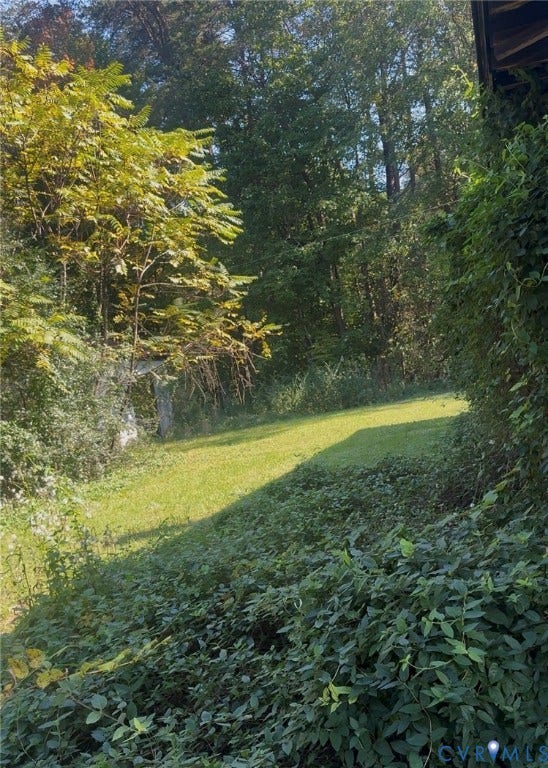 20367 Monrovia Road, Orange County, Orange, VA 22960 Outdoor grounds featuring a sloped grassy lawn, dense perimeter foliage, and a backdrop of mature deciduous trees