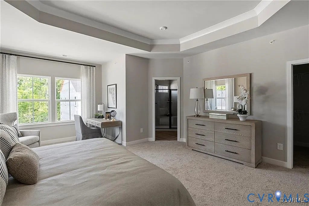 Tray ceiling, wall-to-wall carpeting, and large windows with natural light
