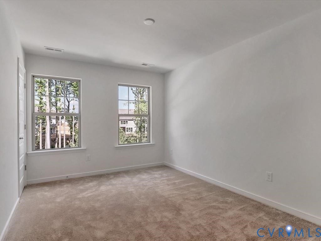 338 Hay Mill Alley, Glen Allen, VA 23060 Neutral interior space featuring wall-to-wall carpeting, dual double-hung windows with muntins, and a solid-core interior door
