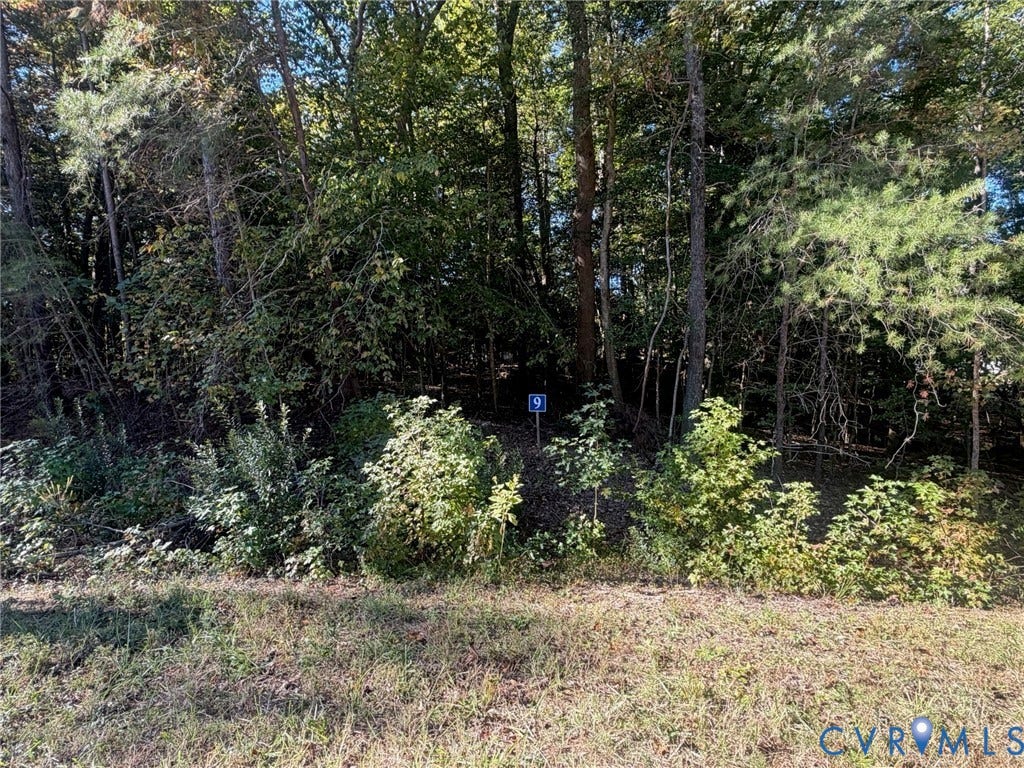 5329 Ridgewood Hills Drive, Ridgewood Estates, Williamsburg, VA 23188 Lot 9 - Surrounded by mature trees and peaceful woodland views, creating a true private retreat.