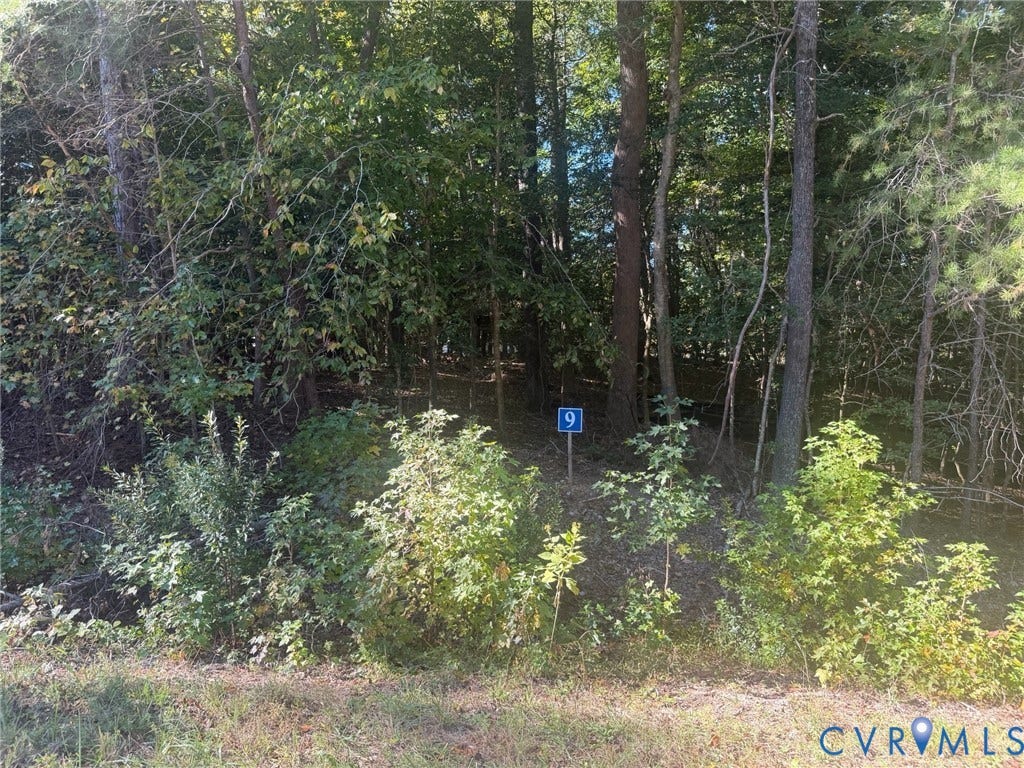 5329 Ridgewood Hills Drive, Ridgewood Estates, Williamsburg, VA 23188 Lot 9 - A secluded wooded homesite offering privacy, natural beauty, and the perfect setting for a custom home.