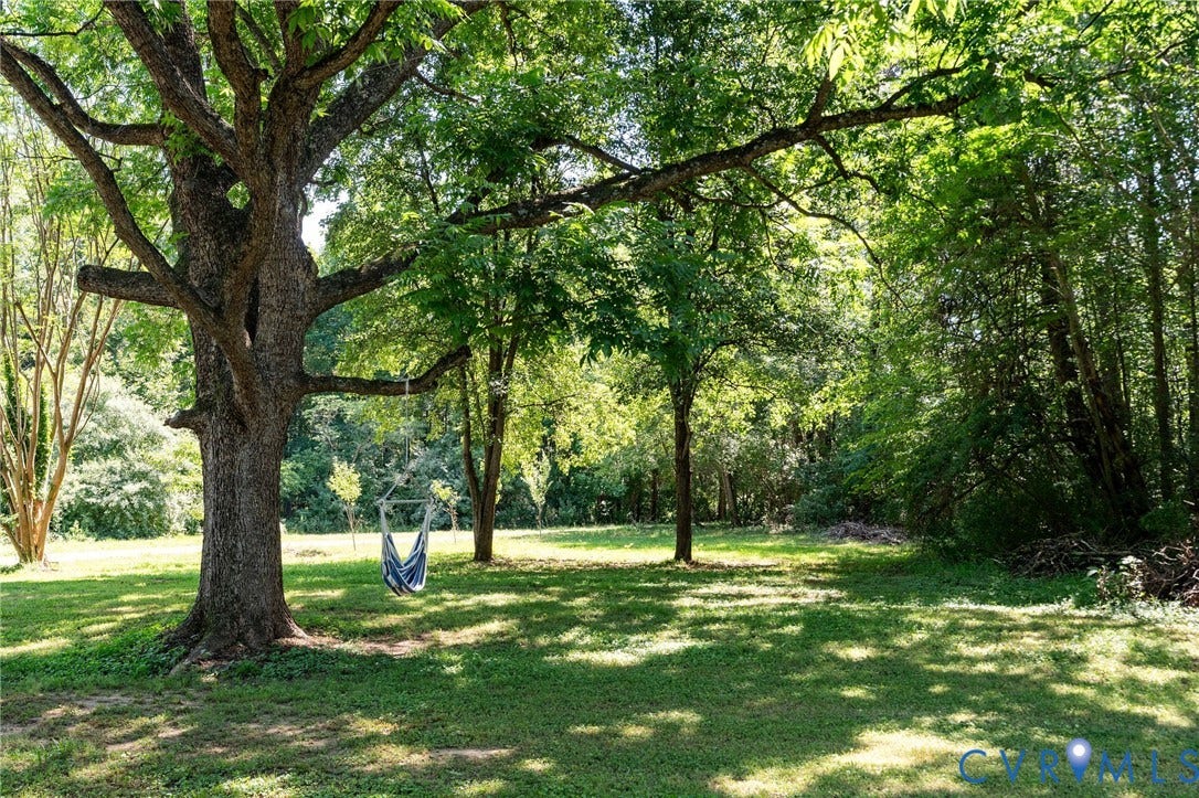 14043 Jefferson Highway, Louisa, VA 23024 Expansive lawn featuring mature trees and established wooded surroundings