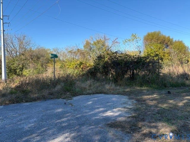 1143 McKenzie Street, Petersburg, VA 23803 Undeveloped land parcel featuring mature trees, native vegetation, and corner lot positioning