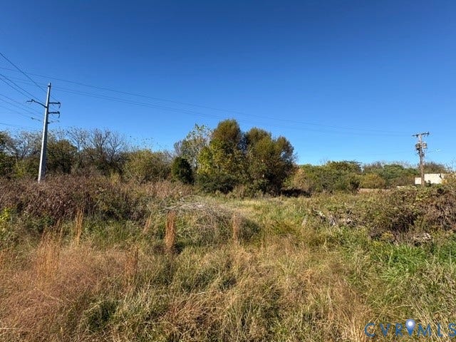 1143 McKenzie Street, Petersburg, VA 23803 Expansive parcel of land featuring native grasses and mature tree clusters