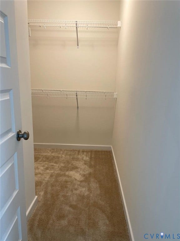 10823 Farmstead Mill Drive, Henrico, VA 23059 Walk in closet with carpet flooring