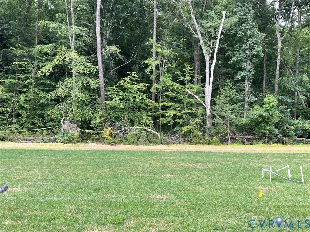 10823 Farmstead Mill Drive, Henrico, VA 23059 View of yard