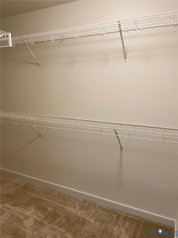 10823 Farmstead Mill Drive, Henrico, VA 23059 Spacious closet featuring carpet